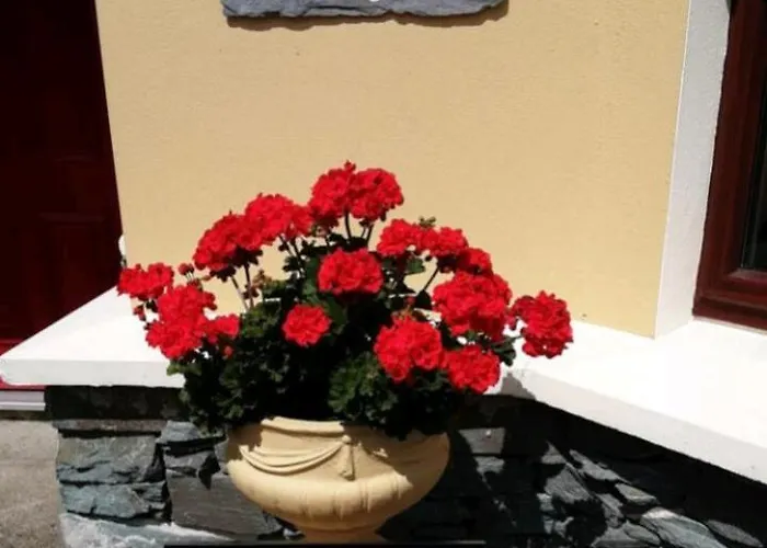 Kayden House -1 Daire *